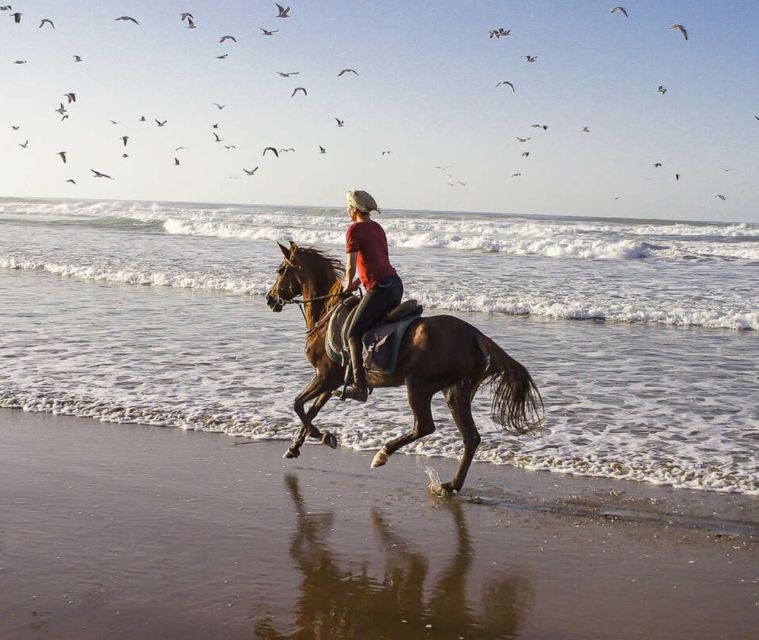 Cartagena: Horseback Riding on the Beach at Sunset - Scenic Highlights of the Ride