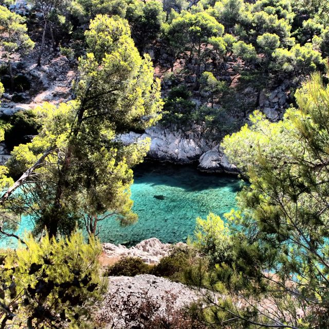 Cassis: Calanques National Park Sea Kayaking Tour - Detailed Itinerary