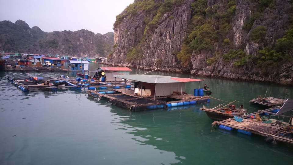 Cat Ba: 2-Day Lan Ha Bay Cruise With Plankton Excursion - Itinerary and Activities