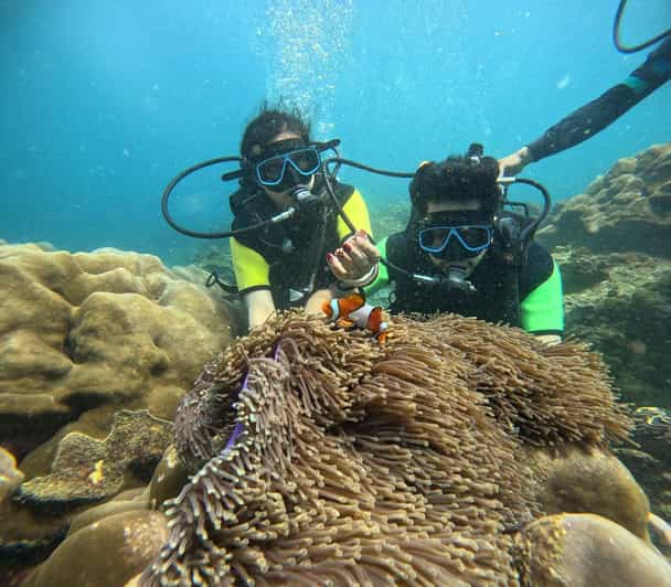 Cat Island Phuket: Scuba Diving and Relaxing on Island - Diving Experience Overview