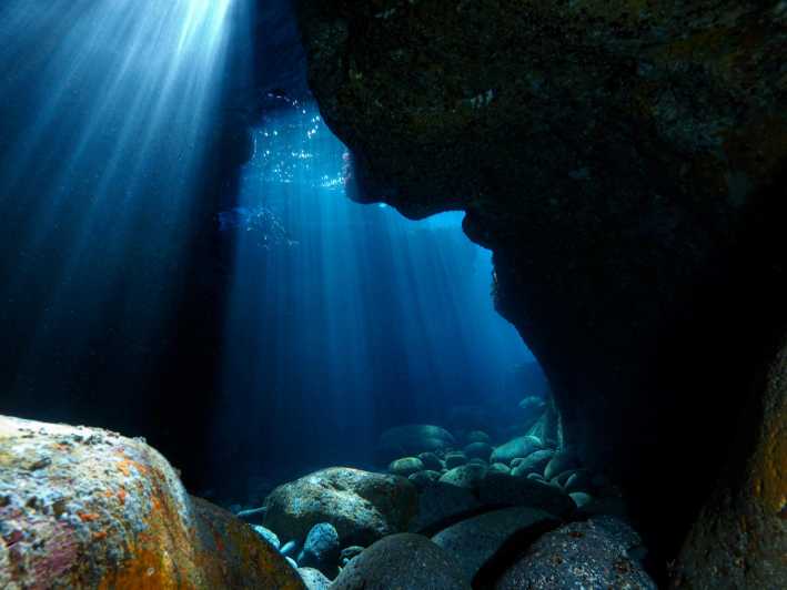 Catania: Scuba Diving Experience - Diving Experience