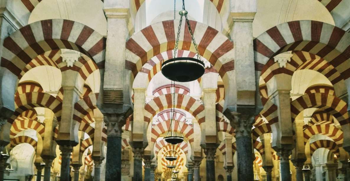 Cathedral Mosque Guided Tour in a Small Group in French - Experience Highlights