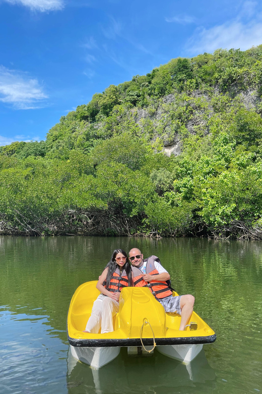 Cebu City All Day Tour; An Unforgettable Experience of Cebu. - Whale Shark Encounter