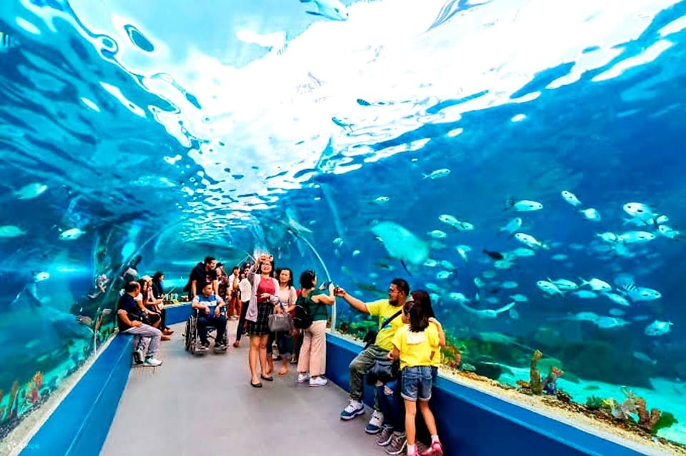 Cebu: Go-Karting + Ocean Park & History Tour With Lunch - Immersive Ocean Park Experience