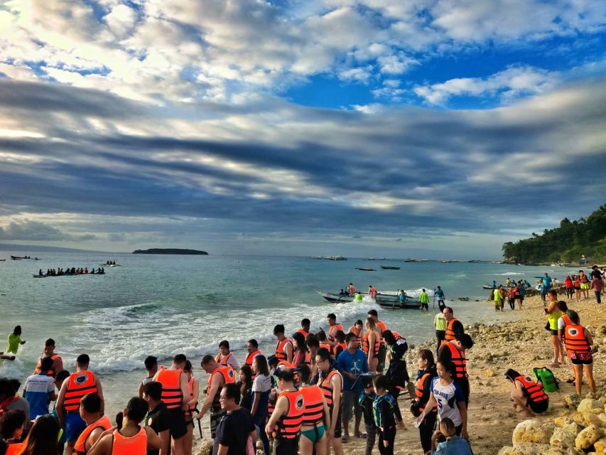 Cebu: Oslob Whale Shark Swimming - Experience Highlights