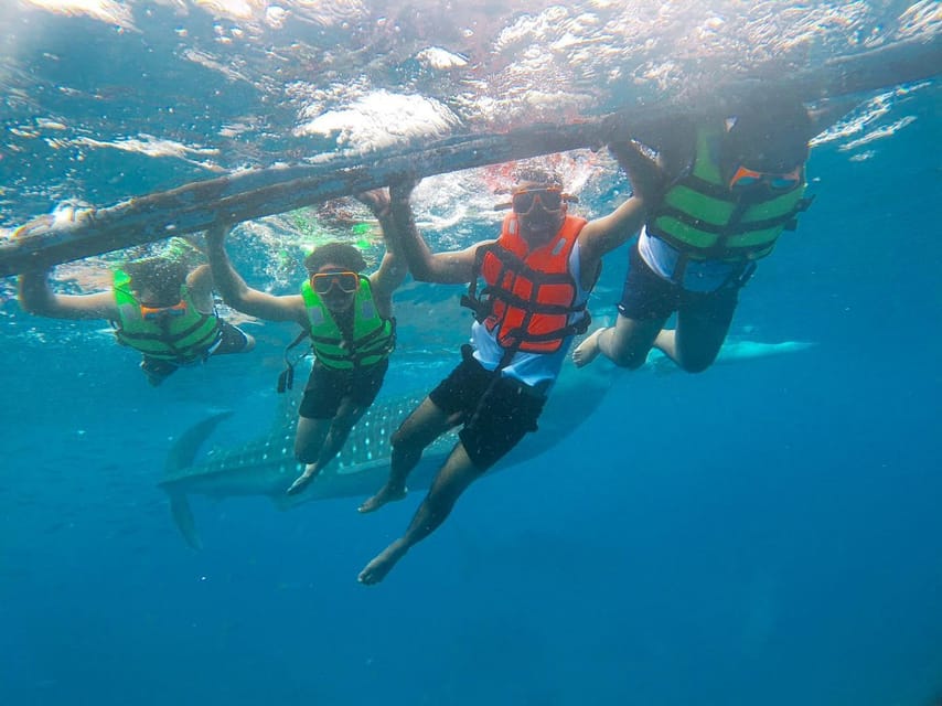 Cebu: Oslob Whaleshark Watching & Canyoneering Adventure - Itinerary and Transportation