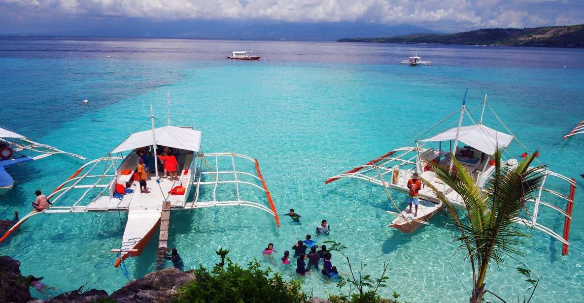 Cebu: Private Sumilon Island & Optional Whale Shark Swim - Experience Highlights