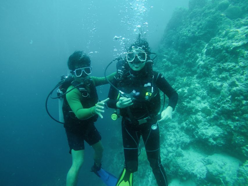 Cebu: Scuba Diving With Sardines and Pescador Island Snorkel - Experience Highlights