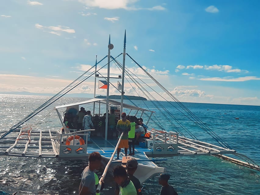 Cebu South-Whale Shark Swimming and Sardines Snorkeling Tour - Itinerary Details