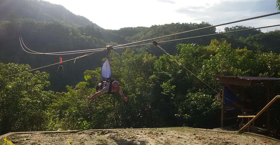 Cebu: Whales Shark Swim and Kawasan Canyoneering Tour | Travel Buddies