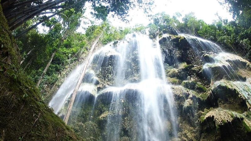 Cebu: Whaleshark Encounter, Tumalog Falls, & Monkey Viewing - Itinerary Highlights