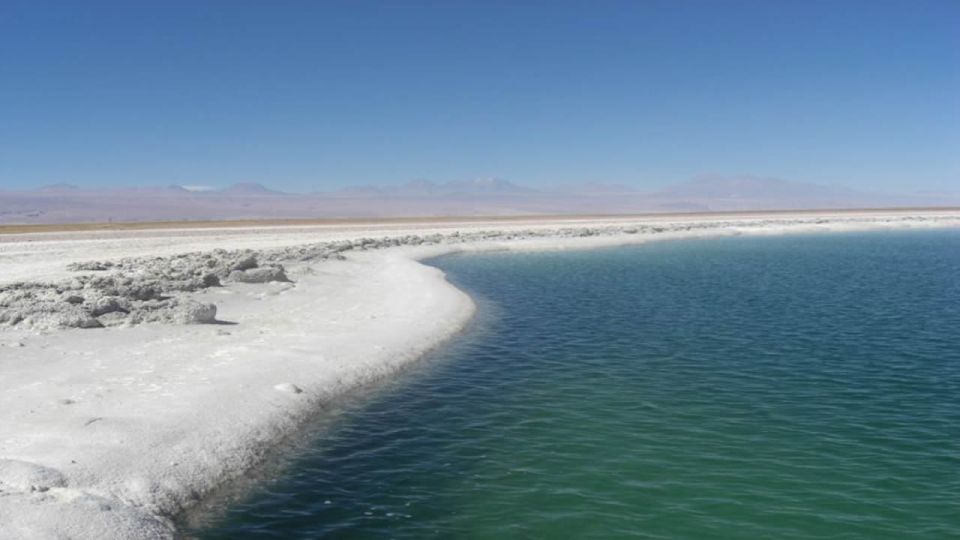 Cejar Lagoon, Tebenquiche Lagoon, and Ojos Del Salar - Highlights of Cejar Lagoon