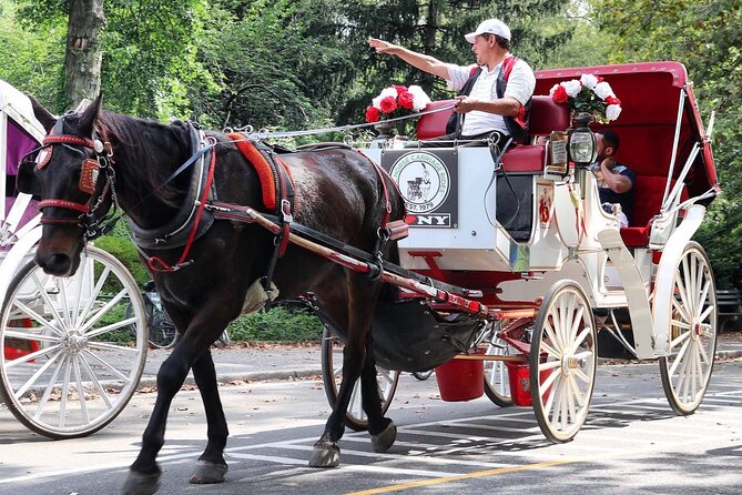 Central Park Carriage Ride W/ Drop off @ Tavern on Green (45 Min) - Meeting Point Details