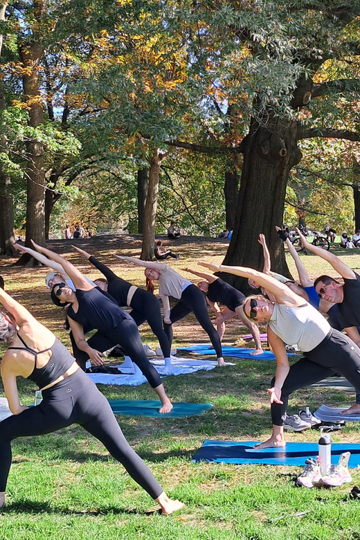 Central Park, New York: Yoga Classes in the Park Since 2012 - Booking and Cancellation