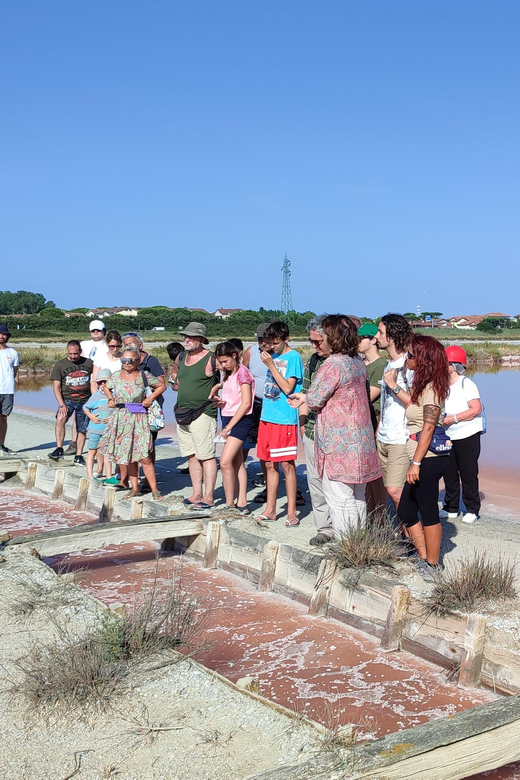 Cervia Salt Pan: by Boat Along the Salt Road - Itinerary Details