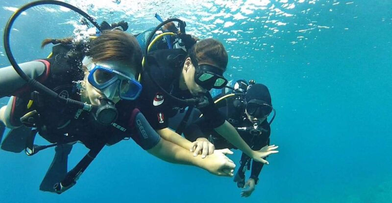 Chalkidiki: Scuba Diving for Beginners in Kassandra - Pricing and Inclusions