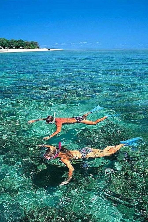 Cham Islands: Experience Underwater Snorkeling Excursion - Detailed Itinerary