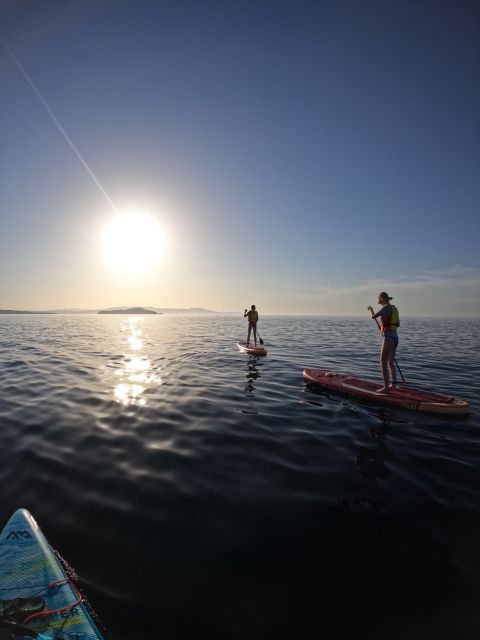 Chania: Stand-up Paddleboard Coastal Sunset Experience - Highlights of the Experience