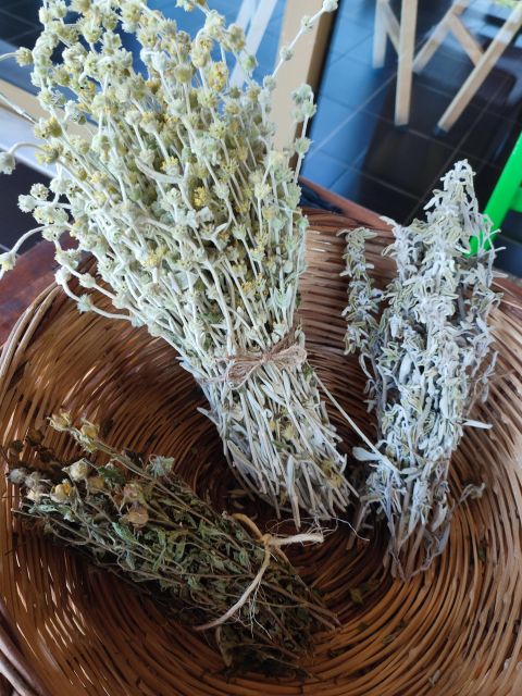 Chania: Tea Tasting Experience With Organic Herbs - Medicinal Properties of Cretan Herbs