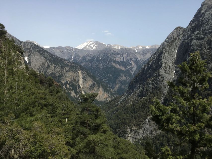 Chania to Samaria Gorge: Private Transfer Tour - Itinerary Highlights