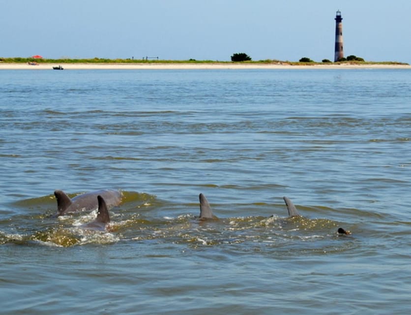 Charleston: Morris Island Lighthouse Eco-Boat Tour - Highlights of the Experience