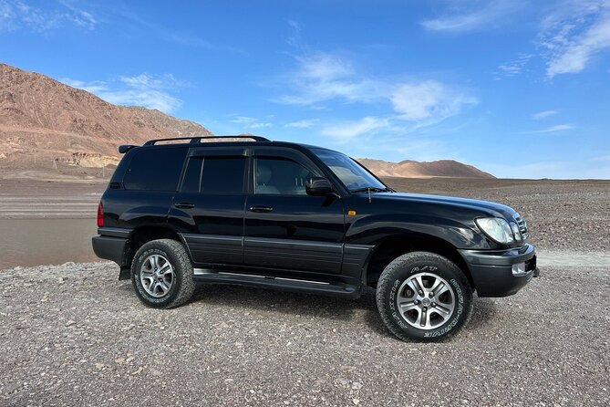 Charyn Canyon Valley of Castles 1 Day Tour - Highlights of the Tour