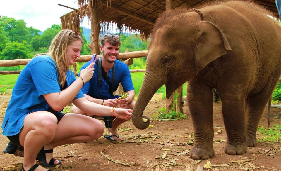 Chiang Mai: A Day in the Life of an Amateur Mahout - Pricing Details