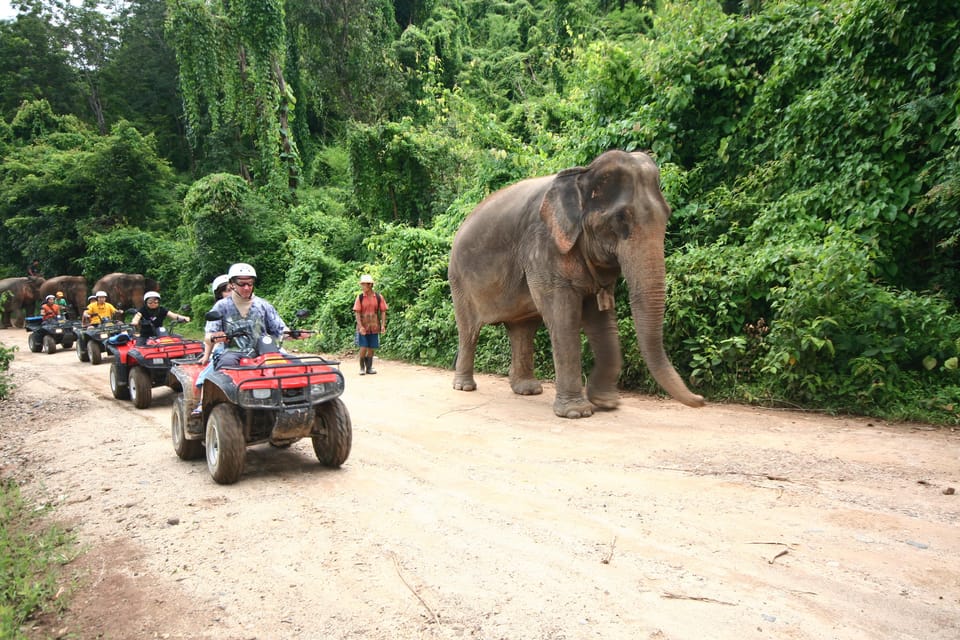 Chiang Mai : ATV Tour + Whitewater Rafting - Restrictions and Policies