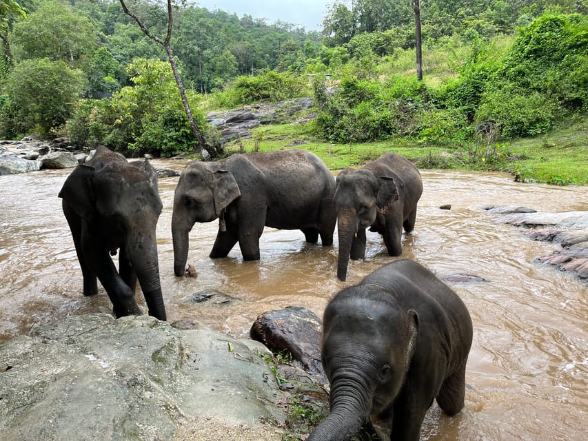 Chiang Mai: Doi Inthanon and Elephant Sanctuary Tour - Highlights