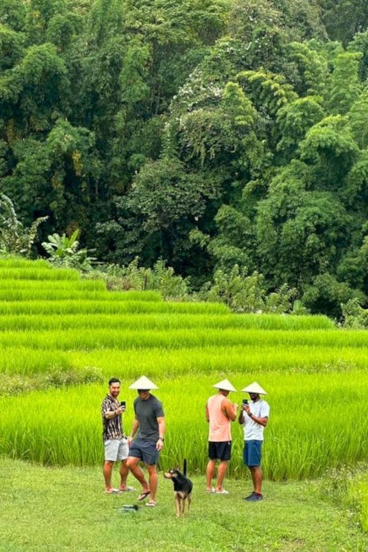 Chiang Mai: Doi Inthanon Park and Pha Dok Siew Trail Trek - Pricing and Inclusions