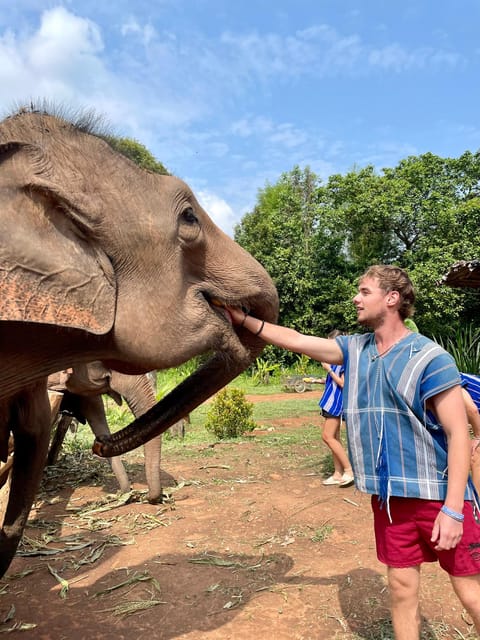 Chiang Mai: Elephant Dream Project Sanctuary - Half-Day - Itinerary