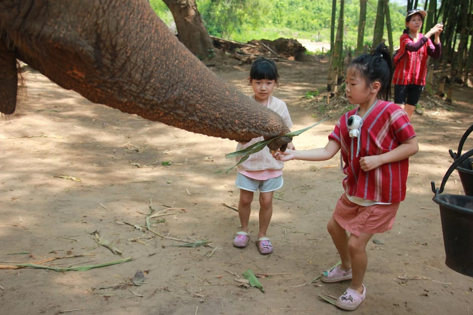 Chiang Mai: Full Day Elephant Eco Park Tour + Bamboo Rafting - Inclusions