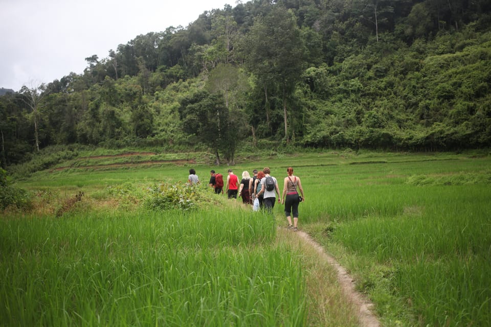 Chiang Mai: Full-Day Hill Tribe Countryside Villages Tour - Experience Highlights