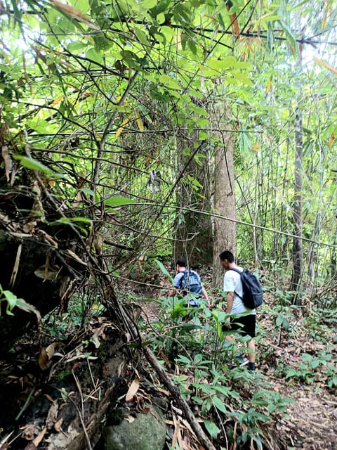 Chiang Mai: Highlight Overnight Stay Trekking Experience - Itinerary Highlights