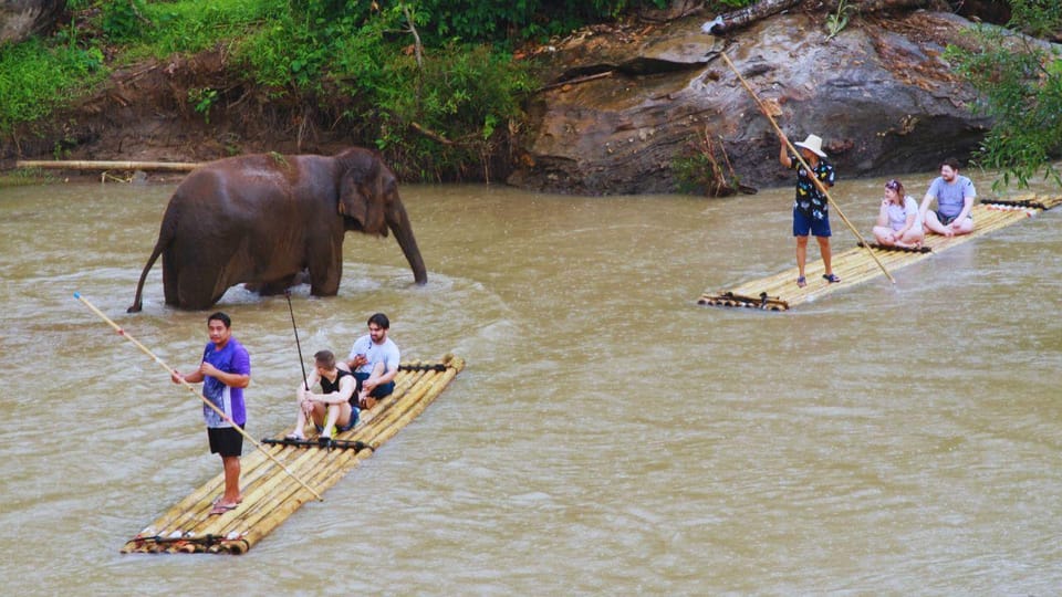 Chiang Mai: Living Green Elephant Sanctuary & Bamboo Rafting - Detailed Itinerary