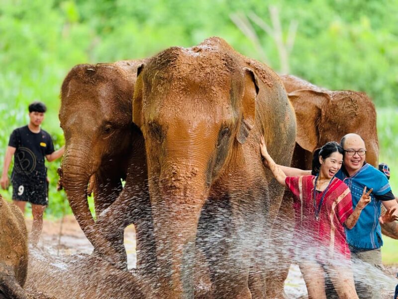 Chiang Mai : Temple , Nature and Culture in One Day. - Traditional Thai Meal
