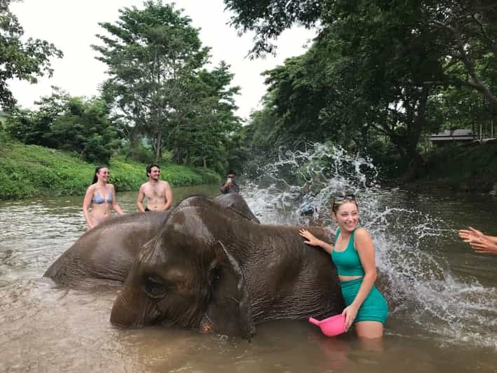 Chiang Mai: Top Rated Elephant Afternoon Tour (Starts 12PM) - Itinerary Highlights