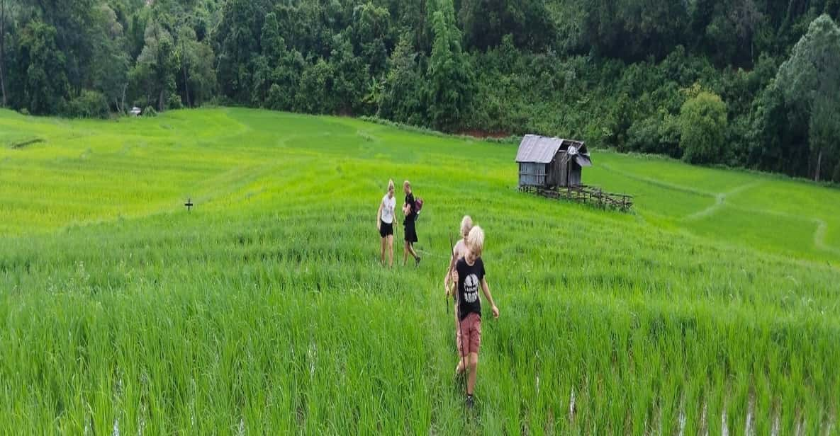 Chiang Mai Trekking (Non-touristic Trail) - Itinerary Details