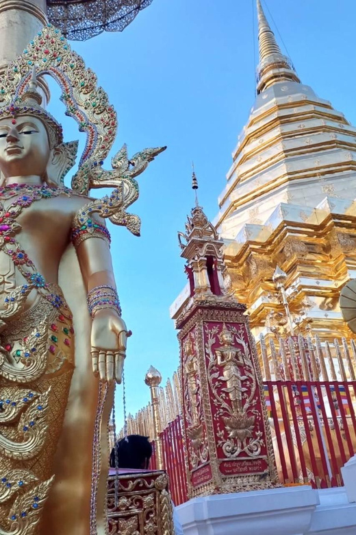 Chiang Mai: Wat Umong, Wat Pha Lat And Wat Doi Suthep Tour - Itinerary