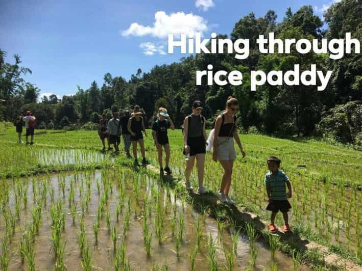 Chiangmai Mountain View Trekking Tour - Activities and Highlights