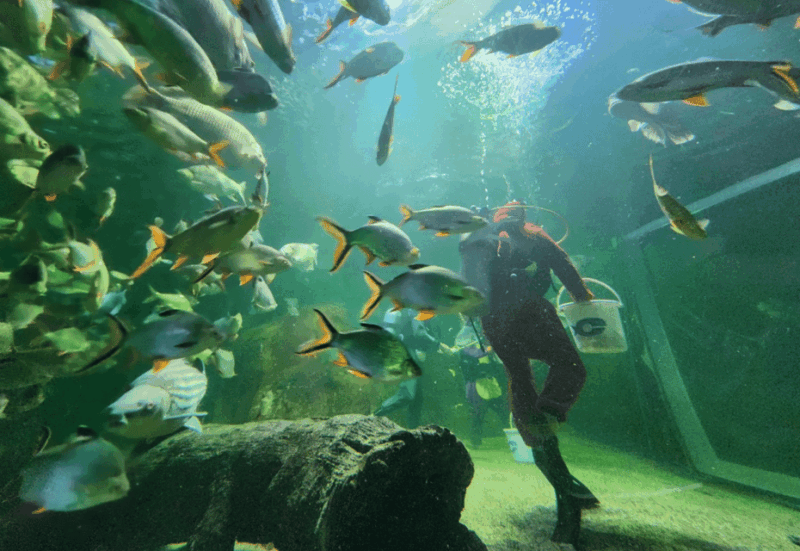 Chiangmai Zoo With Pick up Services - Tour Schedule and Duration