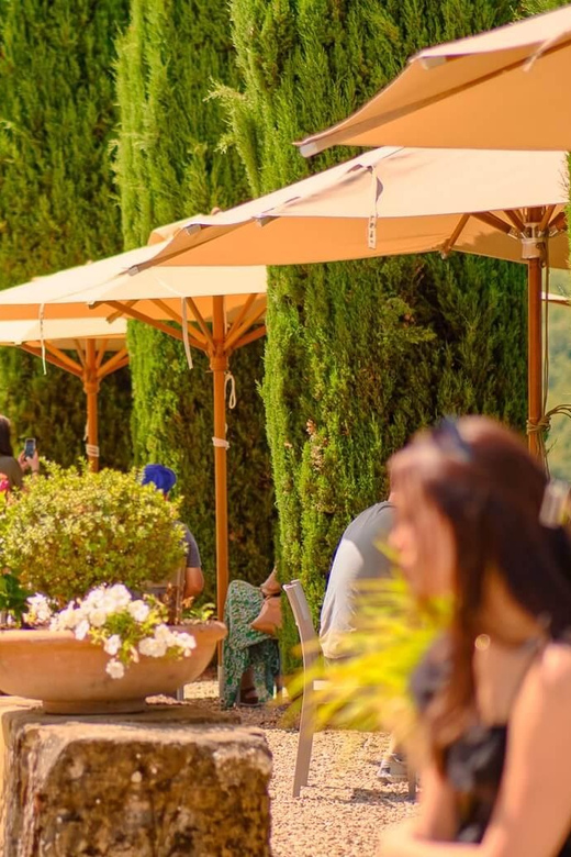 Chianti Wine Region From Florence With Wine Tastings - Pricing and Booking Details