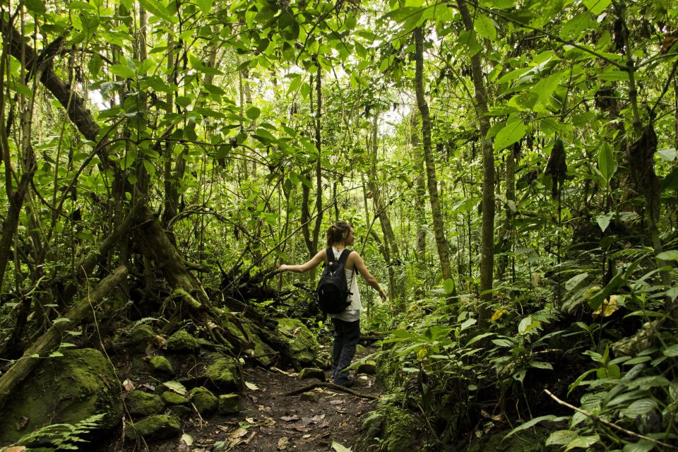 Chicaque Full-Day Trip From Bogotá - Detailed Itinerary