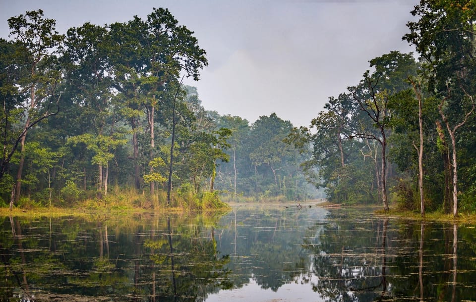 Chitwan Day Tour ( Canoeing+Jungle Walk+ Jeep Safari ) - Highlights of Chitwan National Park