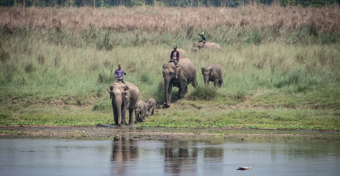 Chitwan Jungle Safari 2 Nights 3 Days - Booking Information