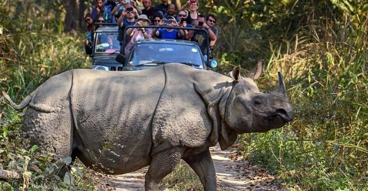 Chitwan Wildlife Adventure:Discover Nepals Jungle Treasures - Pricing and Booking Information