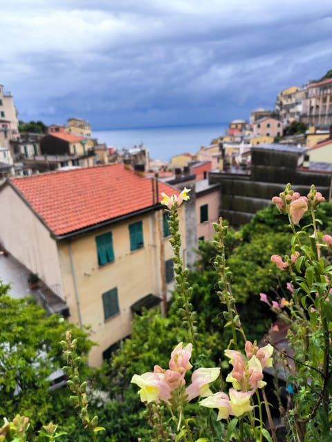 Cinque Terre: Tasting / Walking Tour - Itinerary and Locations