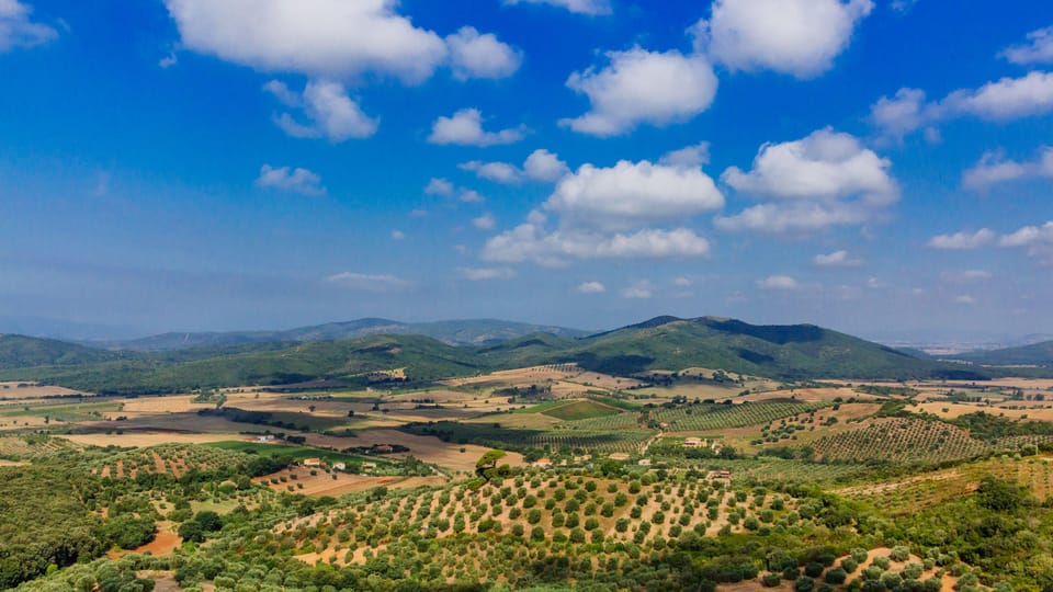 Civitavecchia: Tuscany Full-Day Guided Trip W/Wine Tasting - Pickup and Transportation