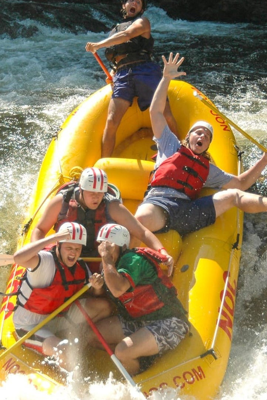 Clayton: Chattooga River Rafting on Class III Rapids - Trip Highlights and Itinerary