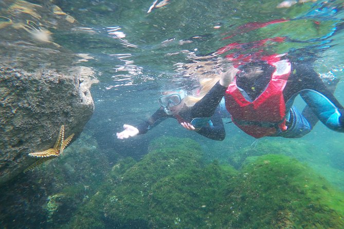 Coasteering Adventure With Snorkeling: Kids Version - Coasteering Equipment Provided